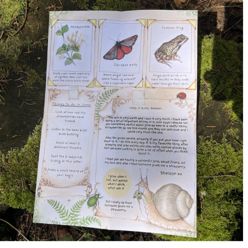 Hand-Illustrated Artwork